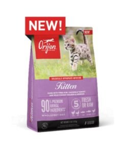 Orijen Kitten