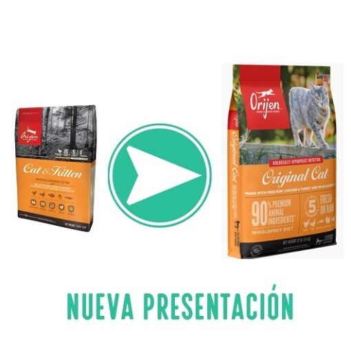 Orijen cat & kitten nuevo
