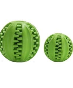 Pelota Con Dientes - MasCan