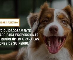 Proplan NF canino
