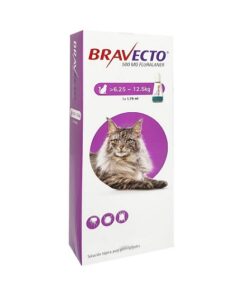 bravecto gatos grandes