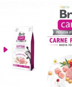 brit care crazy