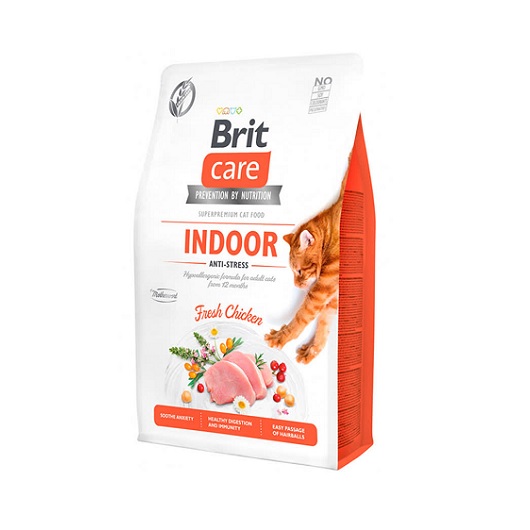 brit care indoor