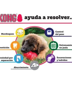 europet kong