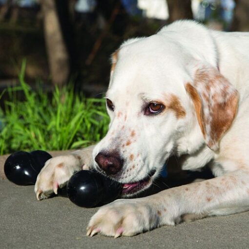 Kong Goodie Bone Extreme - Hueso Rellenable - Imagen 3