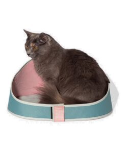 zeecat bed kombucha gato