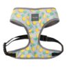 Arnés perro piña
