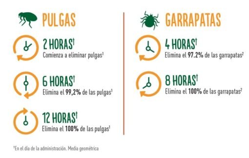credelio precio