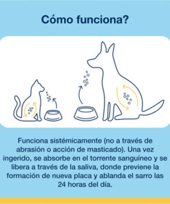 PlaqueOff Polvo para Perros