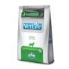 Vetlife Renal para Perros