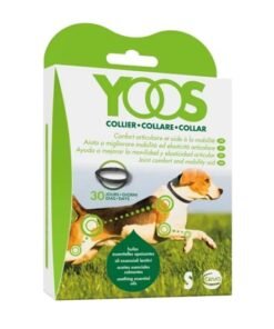 collar yoos raza pequeña