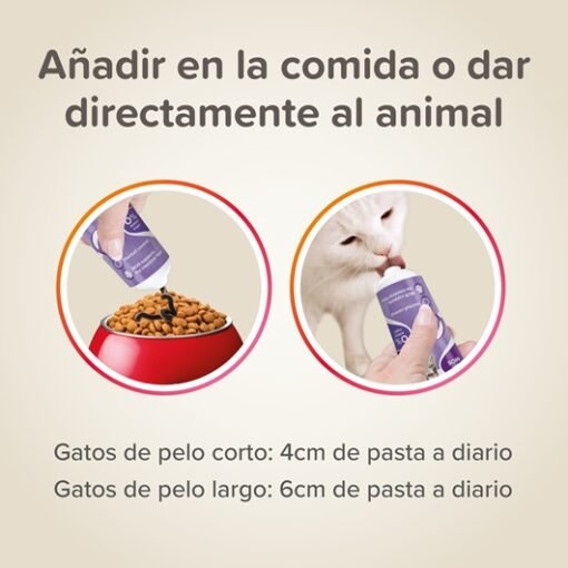 pasta de malta gatos