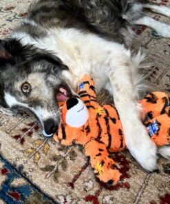 Kong Wild Knots tigre
