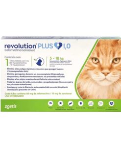 revolution plus gato 5 a 10kg