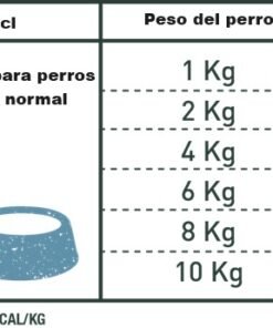 Bravery Salmón - Adulto Razas Pequeñas