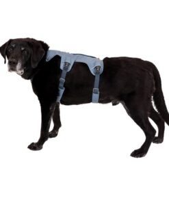 Ruffwear Arnés providencia
