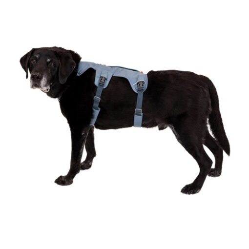 Ruffwear Arnés providencia