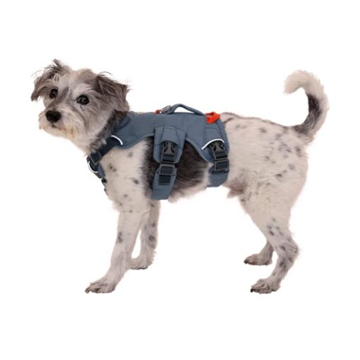 Ruffwear arnes perro