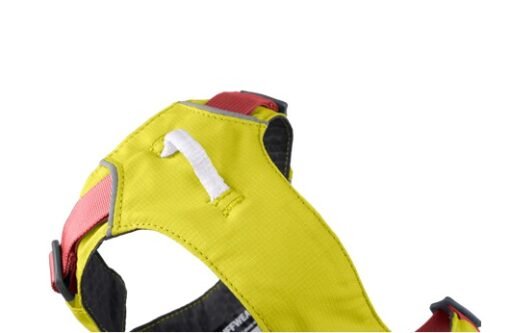 ruffwear europet chile