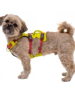 ruffwear flagline lichen green perro