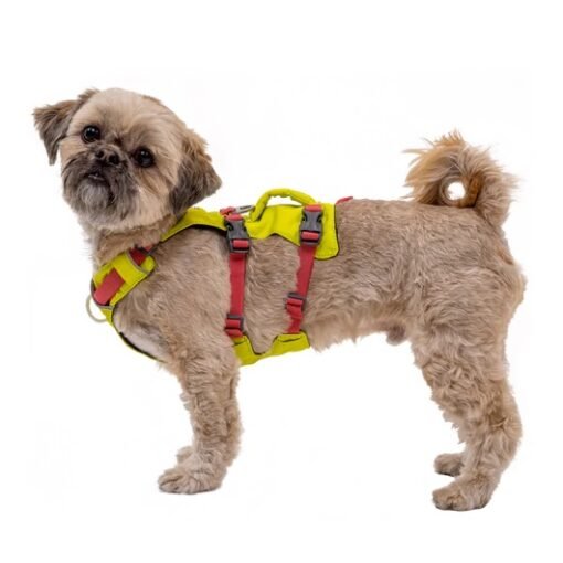 ruffwear flagline lichen green perro