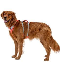 ruffwear flagline salmon pink perrro