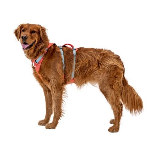 ruffwear flagline salmon pink perrro