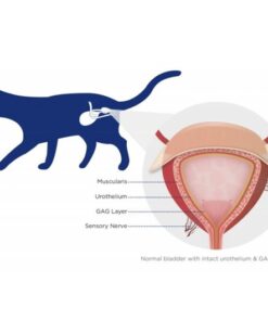 Furinaid Plus europet