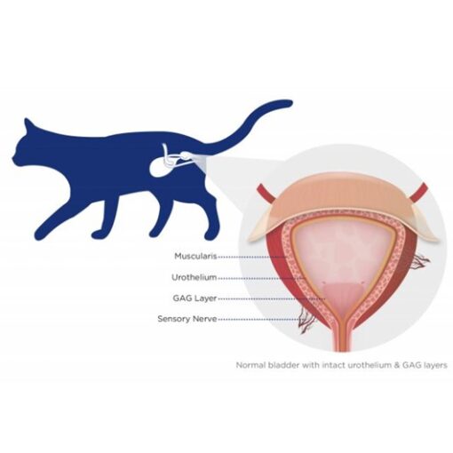 Furinaid Plus europet