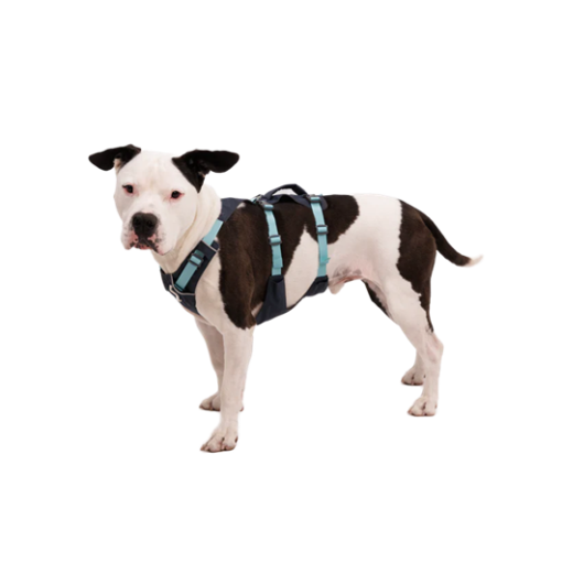 Ruffwear arnés Flagline - Imagen 13