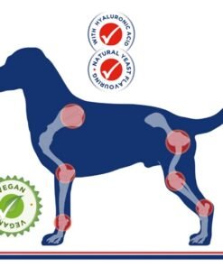 Stride Plus europet