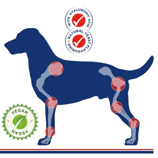 Stride Plus europet