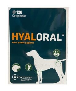hyaloral raza grande