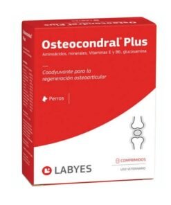 Osteocondral Plus