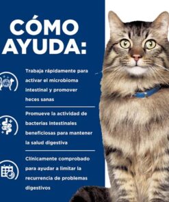 Hills Gastrointestinal Biome Gatos