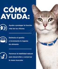 Hills kd para Gatos