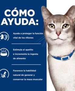 Hills kd Lata Gato