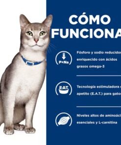 Hills kd Lata gato europet