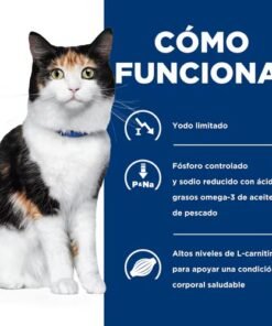 Hills y-d Gato