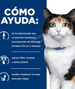 Hills y-d Gatos