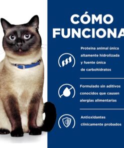 Hills zd Gatos