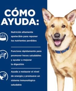 europet hills i/d perros