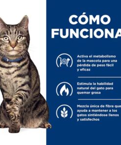 europet hills metabolic gato