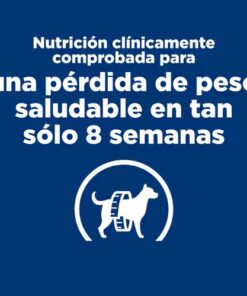 hills rd para perro