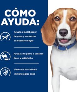 hills rd para perros