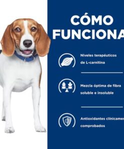 hills rd perros europet