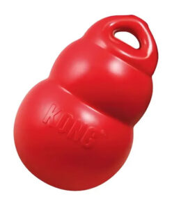 Kong Bounzer