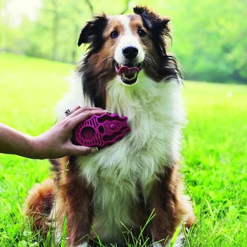 Kong ZoomGroom - Imagen 2