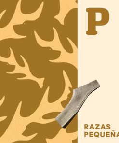 Alternative view of Mordedor para perros de Asta Doggo