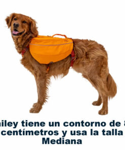 ruffwear Approach Dog Backpack